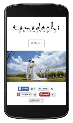 Review Website Tomodachi Photography