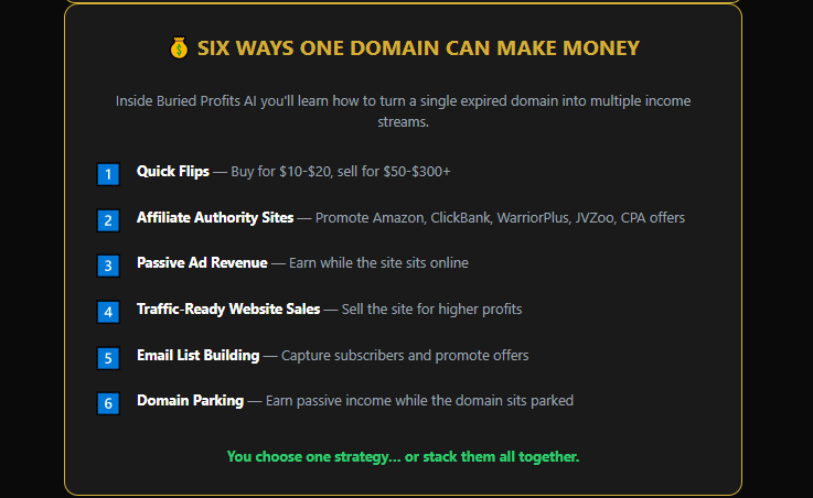 BP-AI Buried Profits Review OTO: The Dead Domain Loophole, OTO Upgrades, and How Dpapa Turns $11 Into Income Streams 3 BP-AI Buried Profits Review OTO