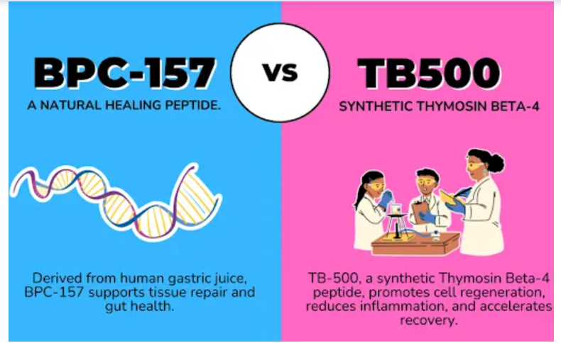 BPC-157 vs TB-500: Which Peptide Is Actually Better for Recovery and Healing? 1 BPC-157 vs TB-500