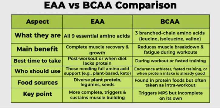 EAA vs BCAA for Seniors: Which Amino Acid Supplement Actually Rebuilds Muscle After 60? 2 EAA vs BCAA for Seniors